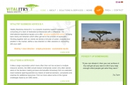 Vitalitry Business Advice